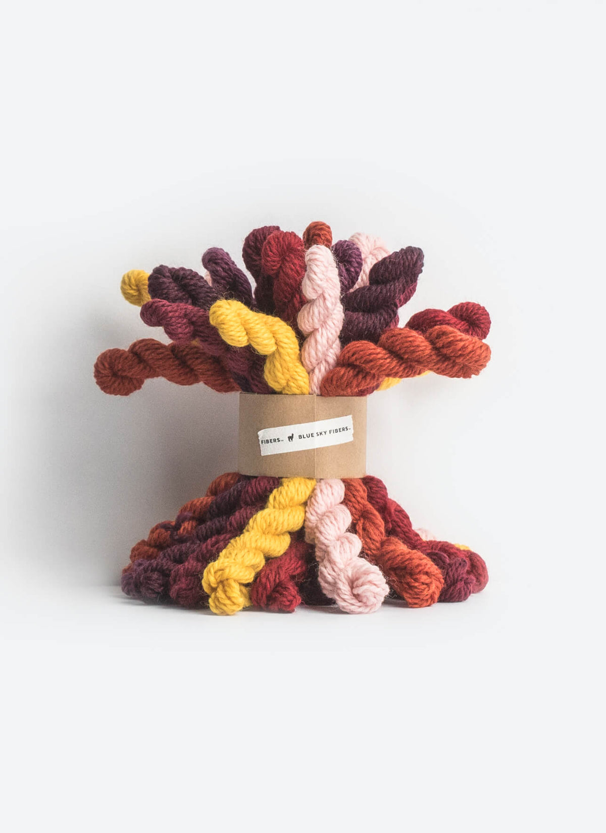 Blue Sky Fibers - Mini Woolstok Worsted Bundle Kit
