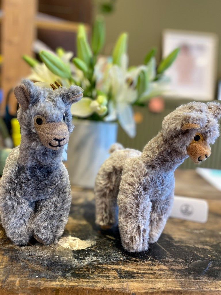 Red Maple Sportswear - PlushPaca Charlie - Charcoal