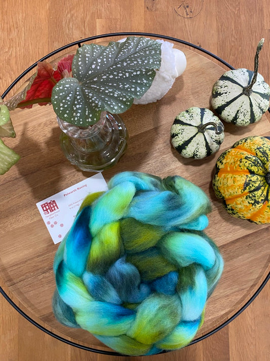 Neighborhood Fiber Co - 100% Polwarth Wool Spinning Fiber Braid
