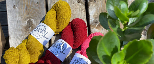 Plucky Knitter - Rambouillet Fingering