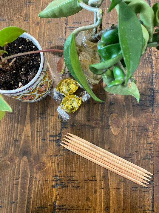 Knitter's Pride - Naturalz 5" DPN Needles