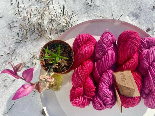 Manos Del Uruguay - Alegria Grande Worsted Sock