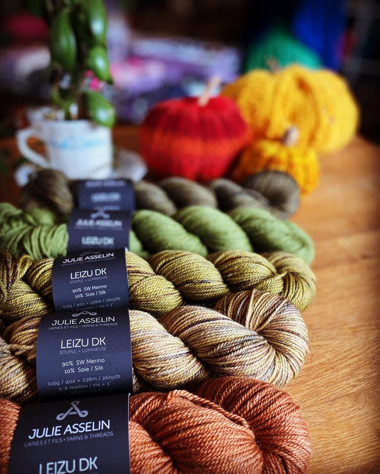 Julie Asselin - Leizu DK