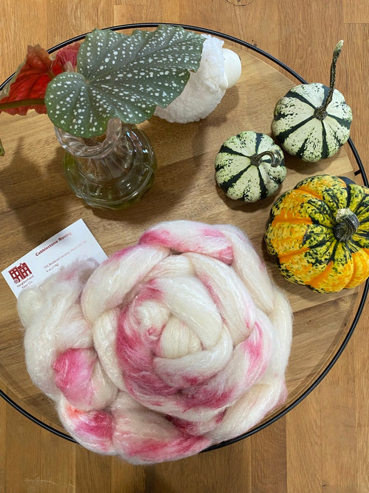 Neighborhood Fiber Co - Cobblestone (BFL/Silk) Spinning Fiber Braid